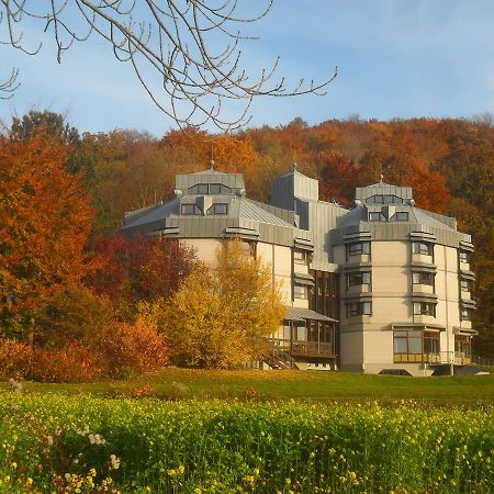 Hellmut-Wassmer-Jugendherberge Loerrach Zewnętrze zdjęcie